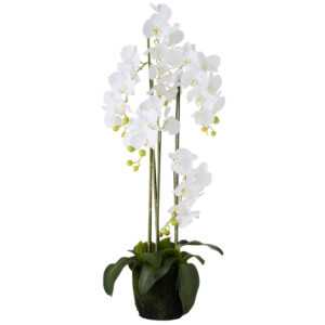 Umělá květina J-Line Maryath Orchid 120 cm